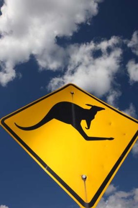 Activitsts are concerned about plans to ship more kangaroo meat overseas.