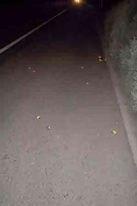 Motorists reported being hit with fruit in Epping.