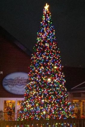 The giant Christmas tree up at Hillarys Boat Harbour.