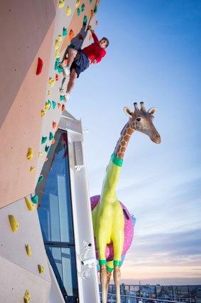 The rock-climbing wall on Anthem of the Seas.

