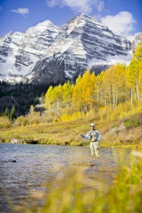 Colorado gold ... autumn leaves shimmer as a fisherman casts a line at the foot of the Maroon Bells.