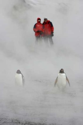Deception Island, Antartica.