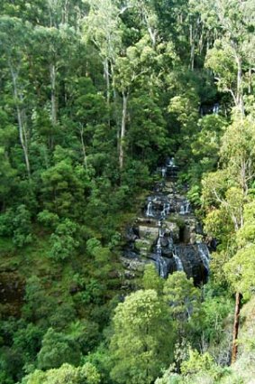Victoria's network of parks and reserves will increase by more than 10,000 hectares.