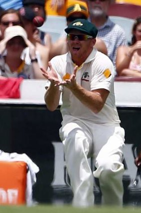 Instant fame: Chris Sabburg takes the catch to dismiss England's Kevin Pietersen.