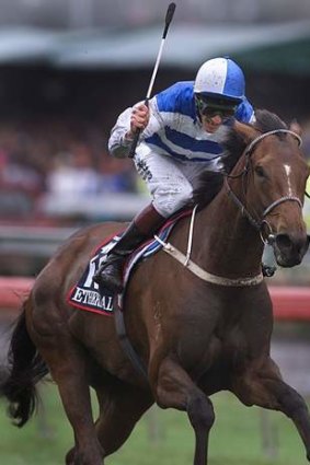 Highlight: Ethereal wins the 2001 Melbourne Cup.