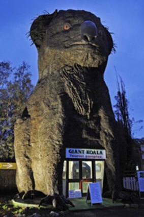 The Giant Koala sitting outside a roadhouse at Dadswells Bridge, 200kms east of Melbourne. Australia's 'Big Things' are now being  recognised as works of folk art.