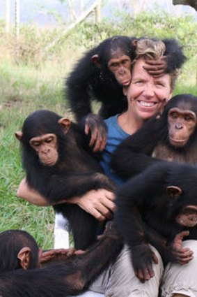 On a mission … Debby Cox has devoted her life to chimpanzee survival.