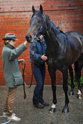 Trainer Gai Waterhouse with the Melbourne Cup favourite, Fiorente.