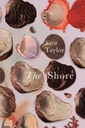 The Shore By Sara Taylor