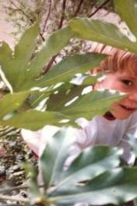 A young Luke Sales in the garden.