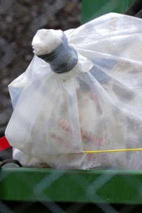 A bag of asbestos left in open-topped skips in the front yard of contractor business in Ballarat.