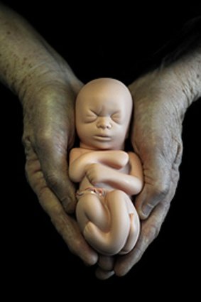 A model of a 20-week-old foetus. Death certificates are issued from this age.