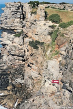 The North Bondi cliff face.