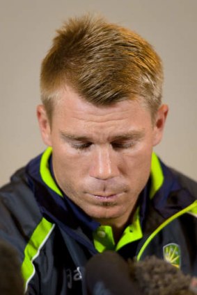 King-hit: David Warner has been suspended and fined.