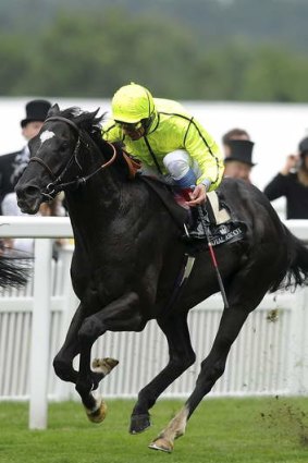 Meeting targets: Dandino trainer Marco Botti  has Australia's Melbourne and Caulfield Cups in his sights.