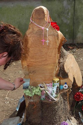 Virgin Mary ... thousands have flocked to this tree stump in Ireland.