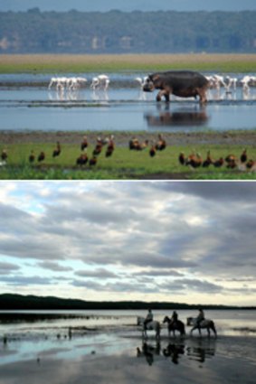 Natural wonders ... above, wildlife galore on Lake St Lucia; below, a Bhangazi horse safari on Eastern Shores.