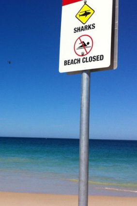 A sign advising of a beach closure after a shark sighting.