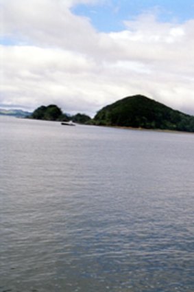 The Bay of Islands is renowned for its beauty and fauna.