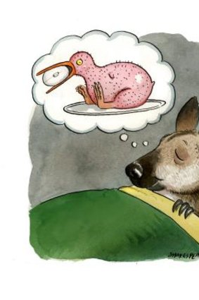 Dreaming of roasted Kiwi. <em>Illustration: John Shakespeare</em>