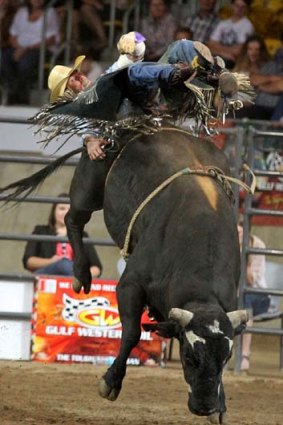 Off we go ... bull riding events at Tamworth attract international competitors.