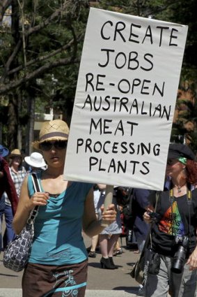A protester at the Brisbane rally.