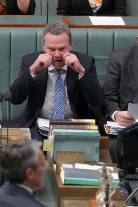 Leader of the House Christopher Pyne pretends to cry during a point of order during question time.