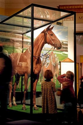 The Phar Lap display at Victoria's State Museum.