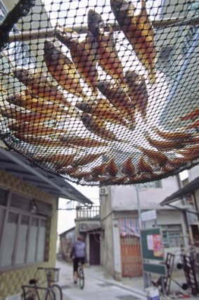 Fish dry above village streets in Tai O.