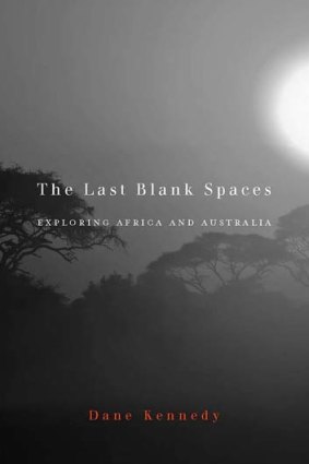 Filling in the blanks: David Kennedy's <i>The Last Blank Spaces</i>.