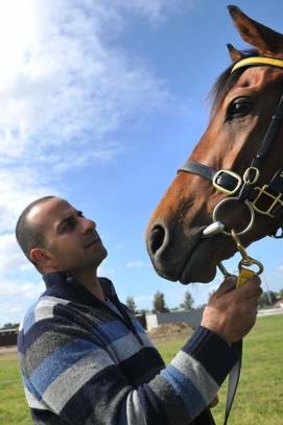 "He's a small horse with a big engine. If he ran on Saturday, he couldn't run on Tuesday": Trainer Saab Hasan on his Melbourne Cup hopeful Shoreham.