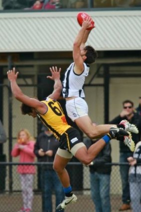 Collingwood's Alex Fasolo takes a mark during the VFL game against the Box Hill Hawks on June 14.