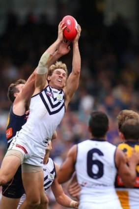 Chris Mayne may play back for the Dockers.