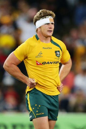 Enough's enough: Michael Hooper has pleaded with New Zealand crowds to stop the abuse.