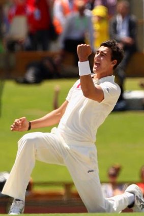 Mitchell Starc returned to the Australian line-up in fine form, taking two wickets before lunch.