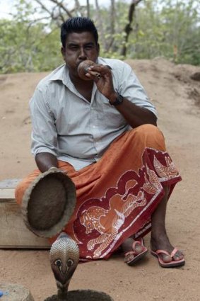 A traditional snake charmer.