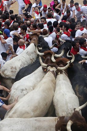 Runners trip and fall ahead of the bulls, blocking the entrance to the bullring.