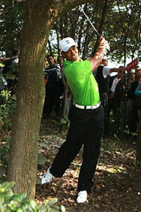 The gallery follows Tiger Woods as he finds a way out of trouble on the 15th hole.