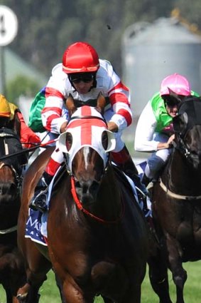 Quote of the week:  "She had to stretch hard for it  ... she was never doing anything easy at any stage" ... Rival jockey Glyn Schofield, who handled Hay List,  sums up Black Caviar's run in the Lightning at Flemington on Saturday.
