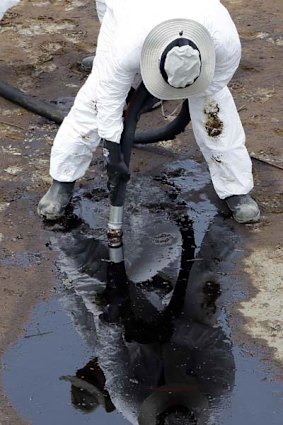 A worker uses a suction hose to remove oil from BP's Deepwater Horizon rig spill in Louisiana.