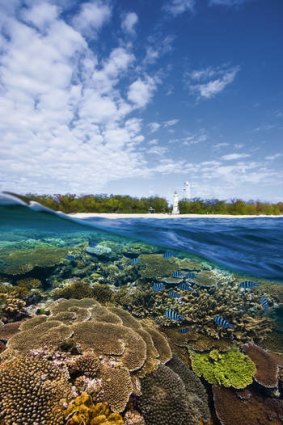 Just Great: the Reef still amazes.