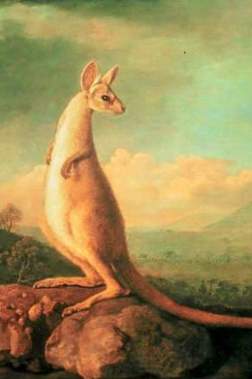 The 18th-century work <i>Kongouro from New Holland</i> by George Stubbs.