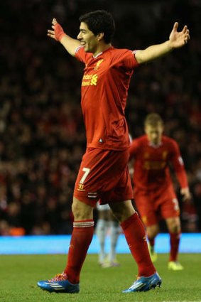 Feeling the love: Liverpool's Luis Suarez.