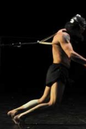 <i>Whelping Box</i> explores masculinity via choreography that creates an almost gladiatorial spectacle.