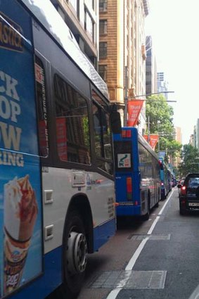 Gridlocked ... Sydney buses this morning.