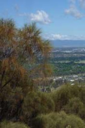 A view over North Watson from the 300 metre long stone wall on Mt Majura