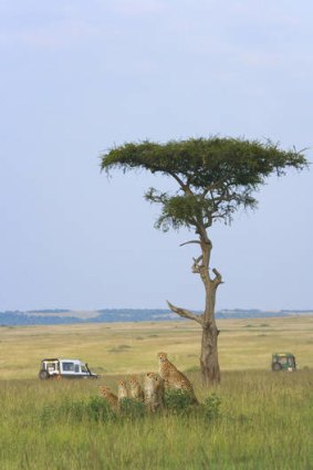 The Masai Mara game reserve in Kenya.