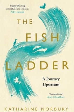 <i>The Fish Ladder</i> by Katherine Norbury.