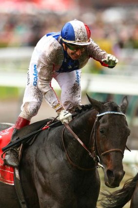 Gerald Mosse riding Americain celebrates after winning the Melbourne Cup.