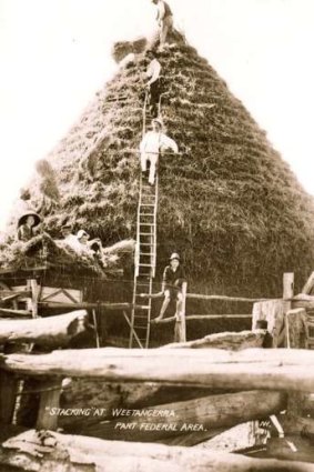 One of the many historic  photographs on the walls of Rosebud Cottage